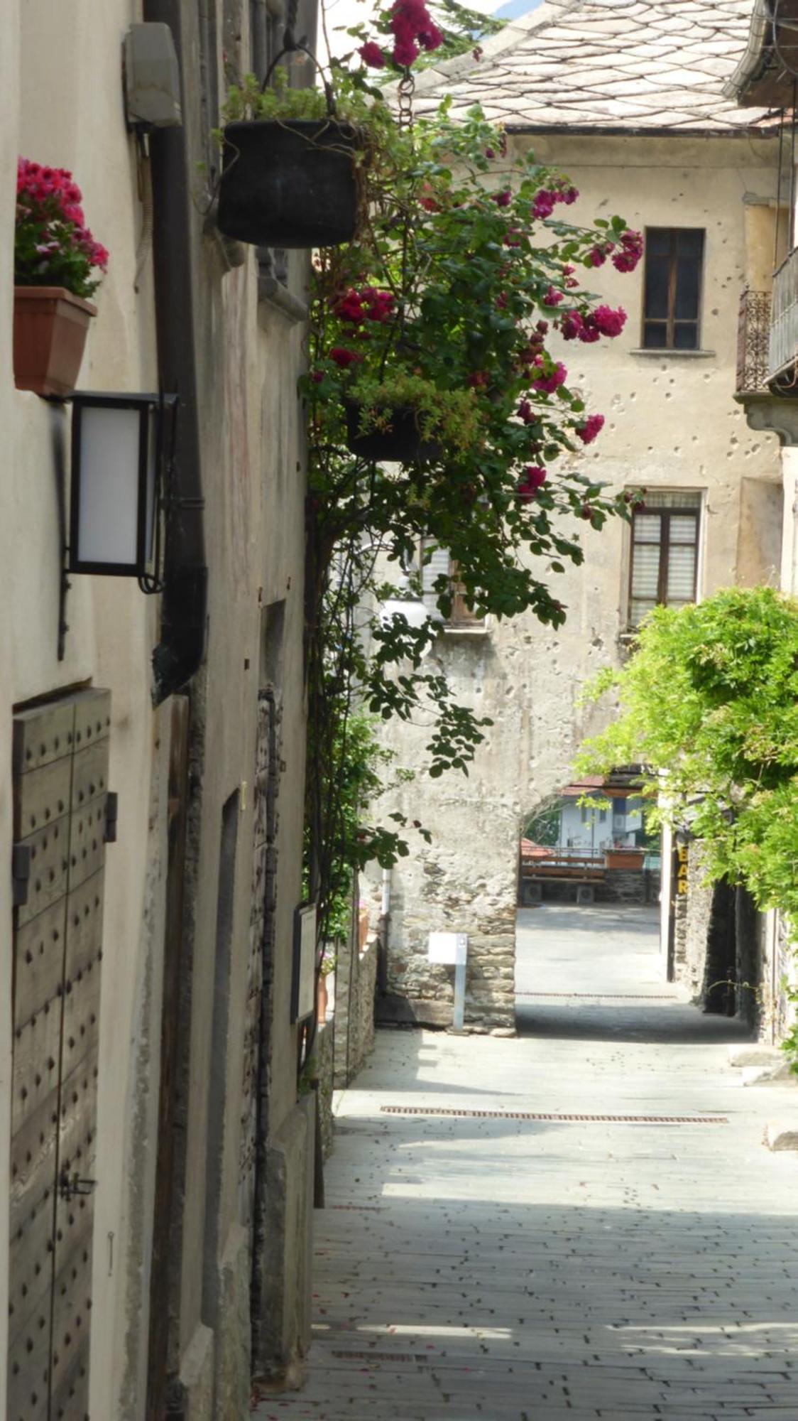 Casa Ciuca Pansiyon Bard Dış mekan fotoğraf