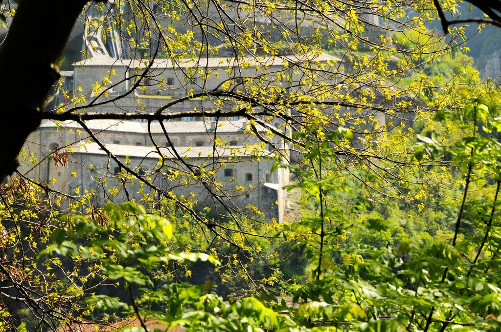 Casa Ciuca Pansiyon Bard Dış mekan fotoğraf